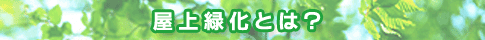 ΉƂ́H